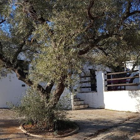 Gateway To The Alpujarras, 'Cortijo Derry' Hotell Orgiva Eksteriør bilde