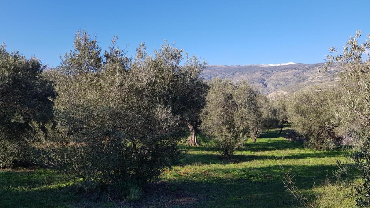 Gateway To The Alpujarras, 'Cortijo Derry' Hotell Orgiva Eksteriør bilde