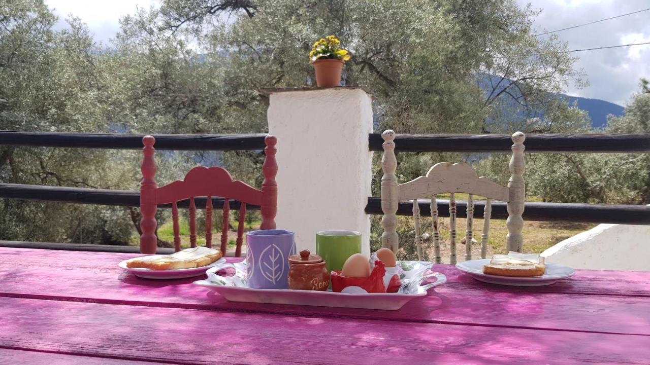 Gateway To The Alpujarras, 'Cortijo Derry' Hotell Orgiva Eksteriør bilde