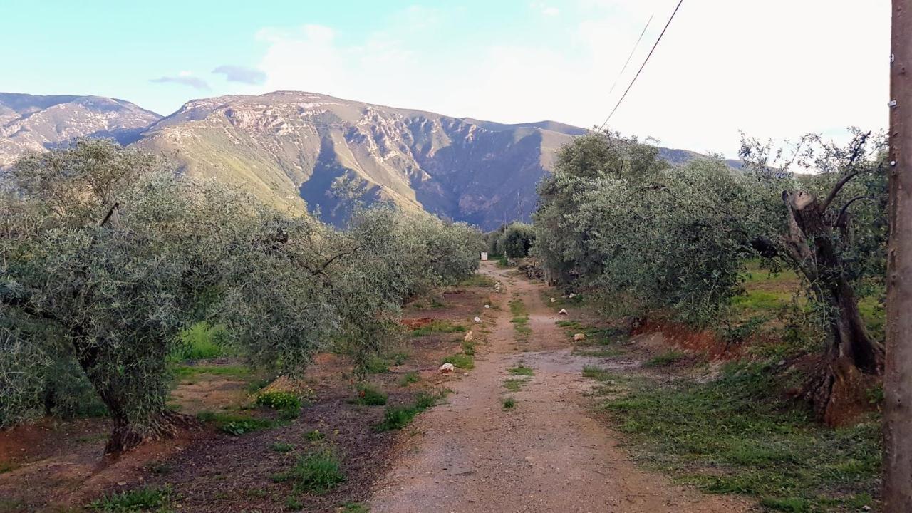 Gateway To The Alpujarras, 'Cortijo Derry' Hotell Orgiva Eksteriør bilde
