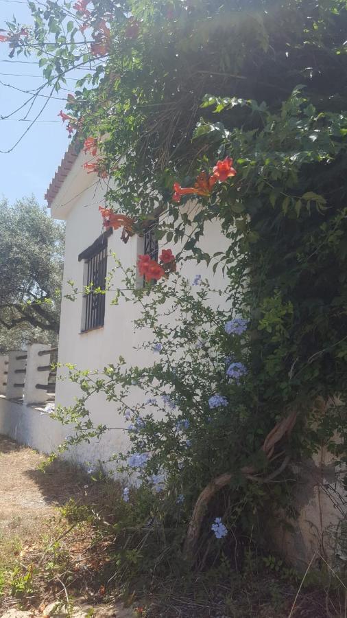 Gateway To The Alpujarras, 'Cortijo Derry' Hotell Orgiva Eksteriør bilde